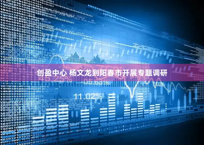 创盈中心 杨文龙到阳春市开展专题调研